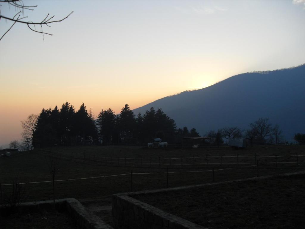 Montale  Agriturismo Le Vigneヴィラ 部屋 写真