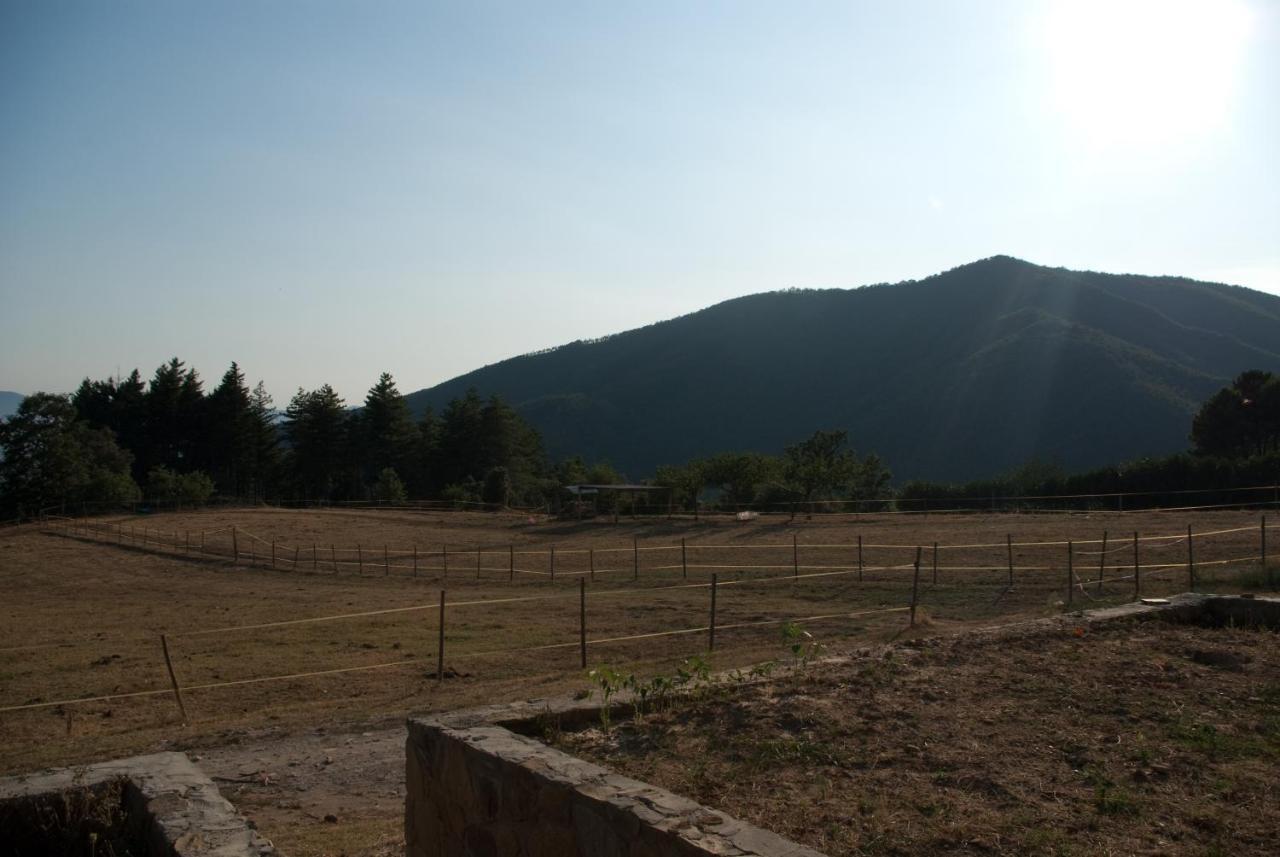 Montale  Agriturismo Le Vigneヴィラ エクステリア 写真